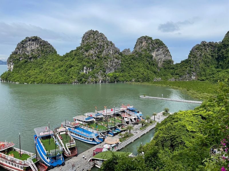 Halong Bay Day Trip (Japanese) | 4-Hour Cruise, Cave, and Kayak Experience - Who should book this day trip?