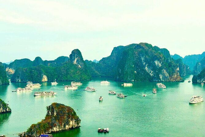 Halong Bay Deluxe Day Cruise - Who Should Consider This Tour?