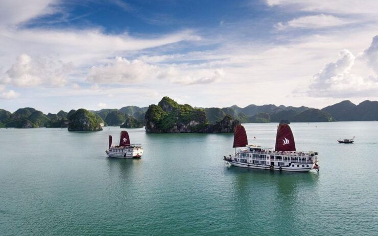 Halong Bay Discovery Cruise - 2 Days 1 Night Expedition - Exciting Activities on the Cruise