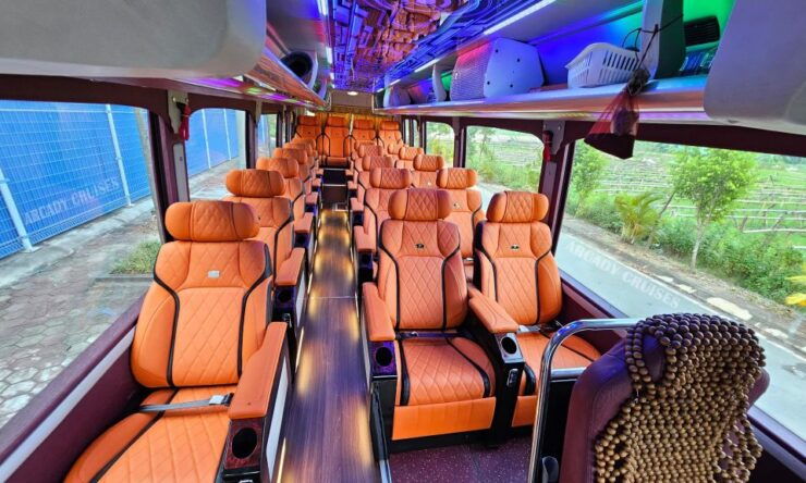 Halong Bay Full Day Tour With 5 Star Arcady Premium Cruise - Tour Highlights