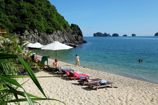 Halong Bay Full Day Tour With Highway Transfer - Traveler Reviews and Ratings