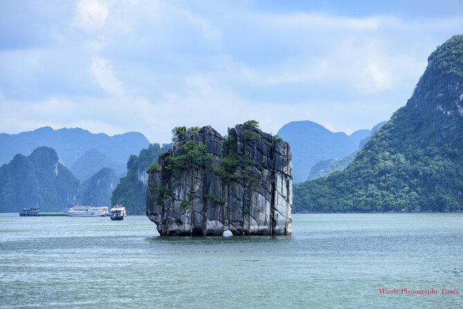 Halong Bay Full Day Cruise With Buffet Lunch - Buffet Lunch Experience