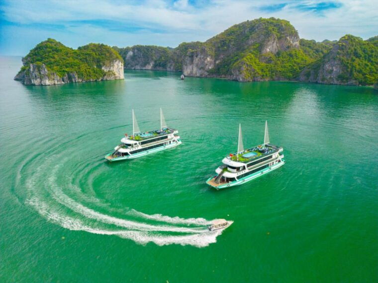 Halong Bay: Luxury Day Cruise, Caves, Kayak & Buffet Lunch - Customer Feedback and Ratings