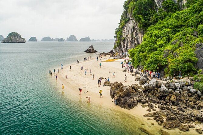 Halong Bay Luxury Day Cruise from Hanoi - Titop Island: Sun, Swim, and Panoramas