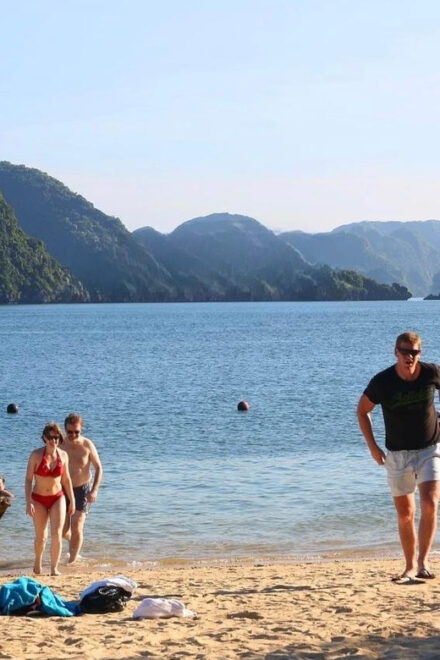 Halong Bay Luxury Day Cruise, Island, Caves, Kayak, Transfer - Activities Included