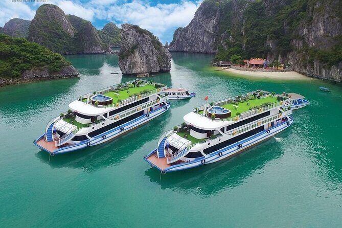 Halong Bay VIP Cruise: Swim, Kayak, Caves, Buffet Lunch and Party - Is This Tour Right for You?