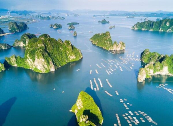 Halong City Voyage on Yacht: Luxury Day Trip From Hanoi - The Sum Up