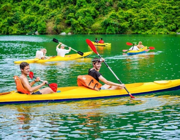 Halong Day Trip - 5 Star Cruise With Buffet Lunch, Transfer - Trip Overview and Pricing