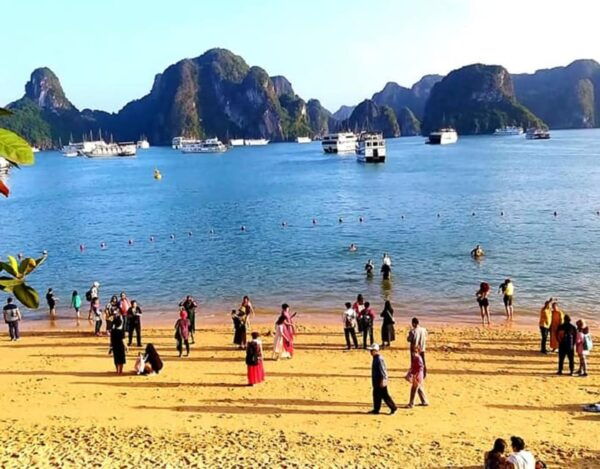 Halong Day Trip - 5 Star Cruise With Buffet Lunch, Transfer - Optional Activities