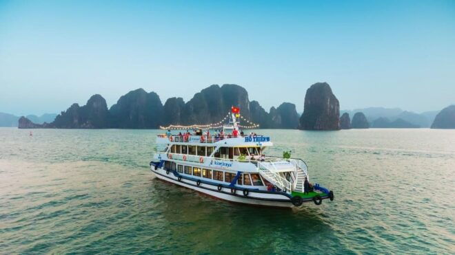 Halong Luxury Cruise Day Trip: Buffet Lunch & Limousine Bus - Culinary Delights