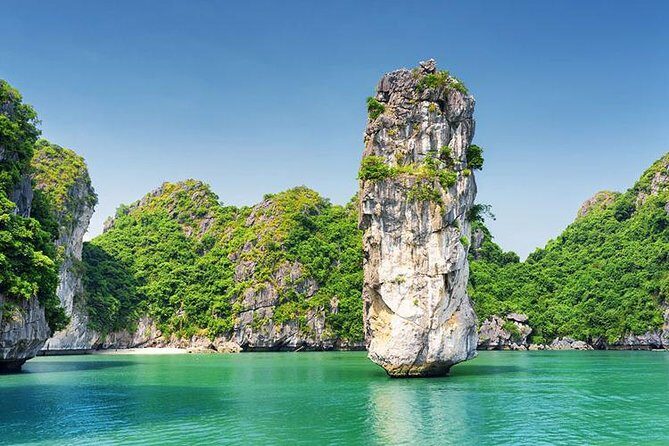 Halong Luxury Cruise Full Day Tour from Hanoi: All Inclusive - The Food & Beverage Experience