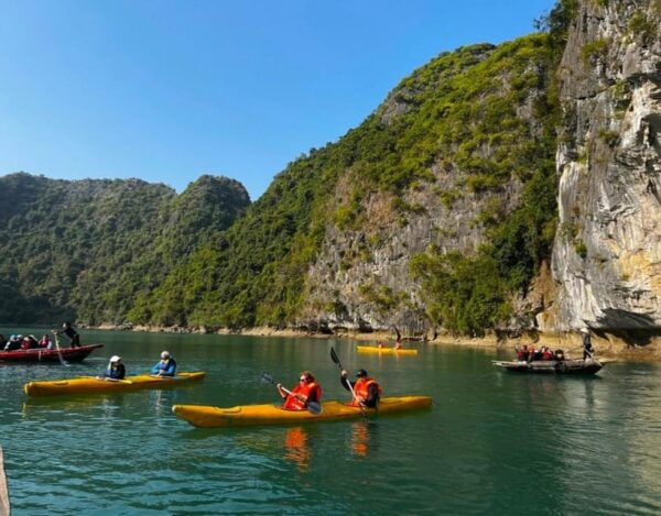 Halong Luxury Day Cruise: Kayak, Swim, Hiking, Cave Explore - Important Guidelines