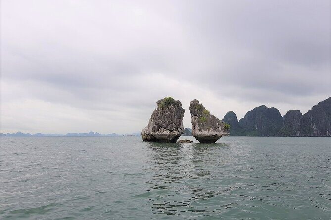 Halong Shore Excursion: Amazing Half Day Cruise at Halong Bay - Final Thoughts: Who Will Love This Tour?