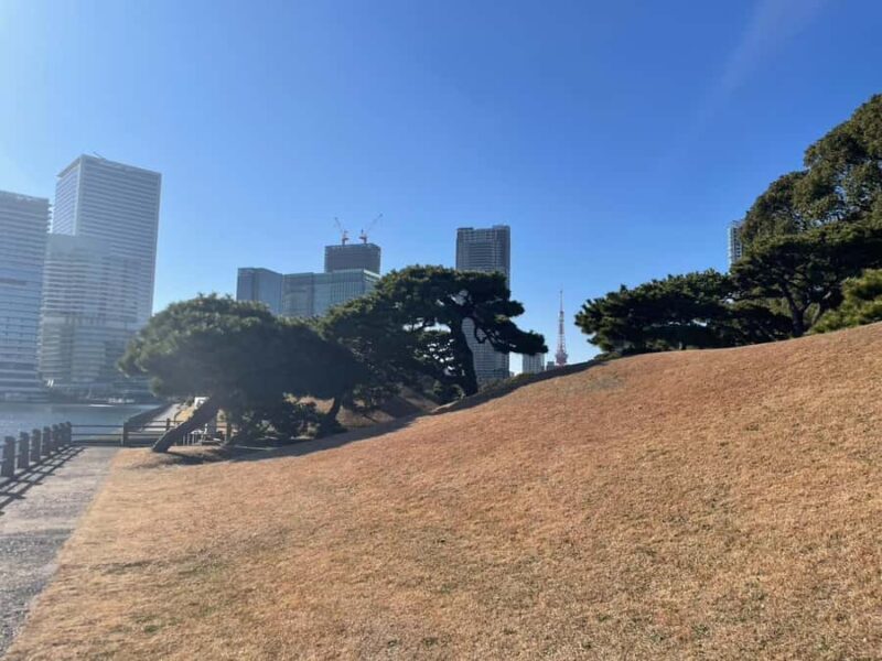 Hamarikyu - Ginza Park Tour - Good To Know