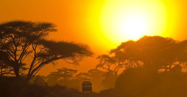 Hambantota: Bundala National Park Safari in a 4x4 - Activity Details