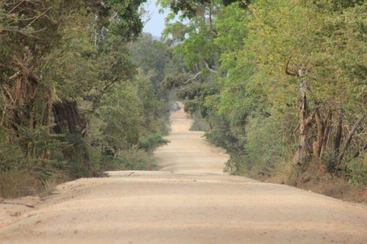 Hambantota Port Cruise: YALA Wildlife Safari (6 Hours) - Good To Know