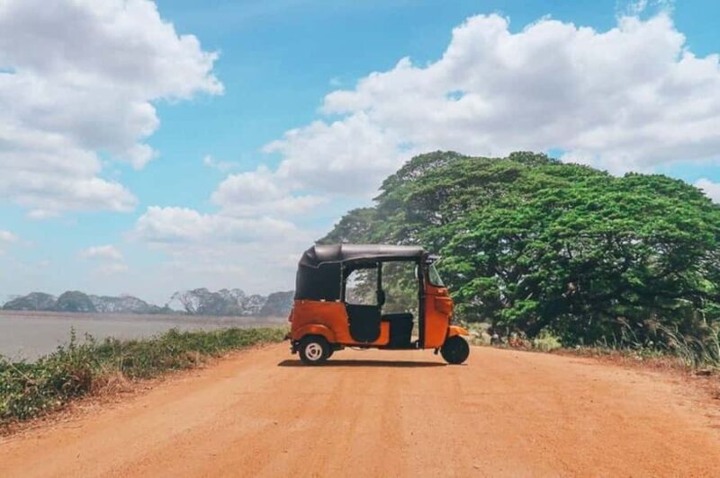 Hambantota Port: Yala Block 6 Safari, Village Tour & Lunch - Practical Details and Experience Quality