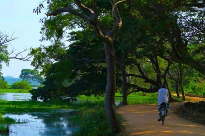 Hambantota Port: Yala Block 6 Safari, Village Tour & Lunch - The Sum Up