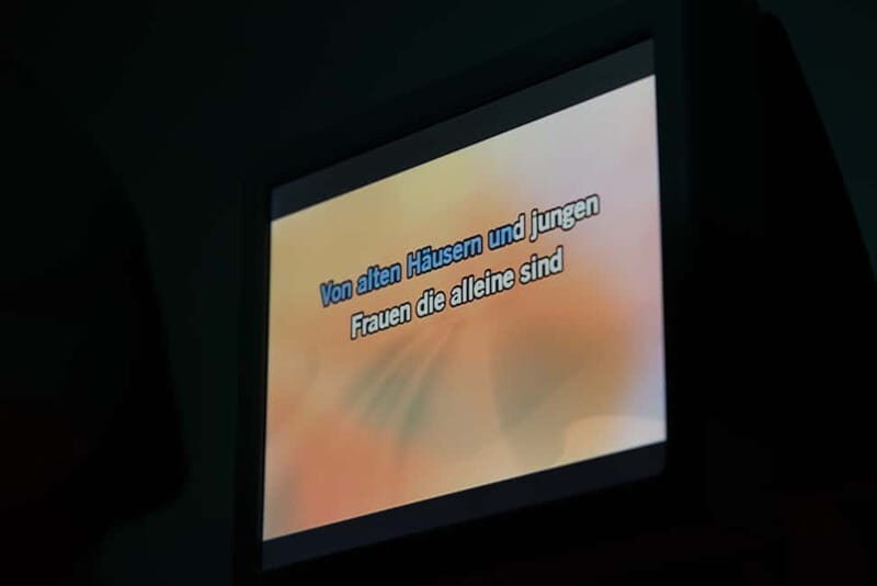 Hamburg: 1.5-Hour International Karaoke Bus Tour - What to Expect from the Hamburg Karaoke Bus Tour