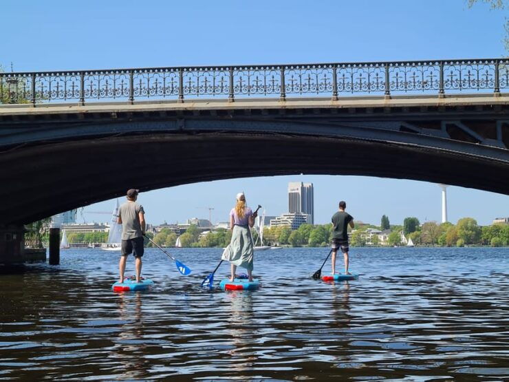 Hamburg: 1-Hour Stand Up Paddle Board Beginner Course - Key Points