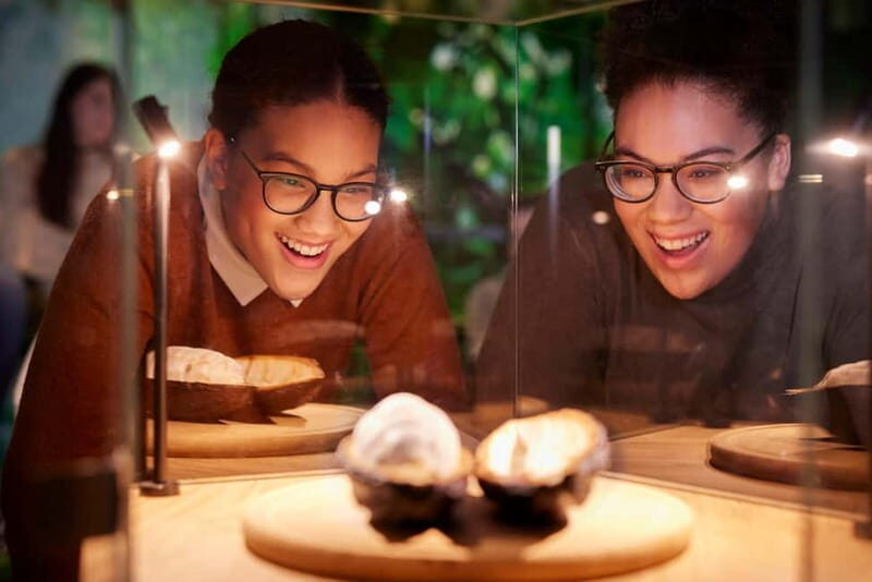 Hamburg: Chocoversum Guided Tour with Tastings - Final Thoughts