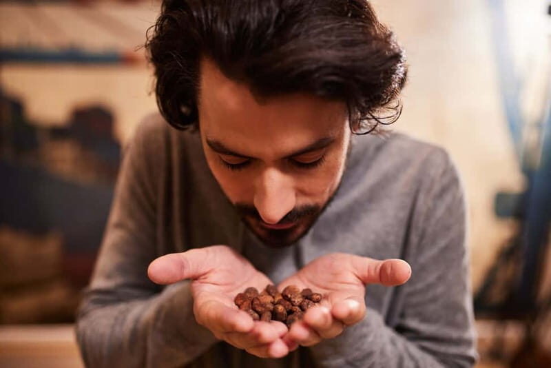 Hamburg: Chocoversum Guided Tour with Tastings - Frequently Asked Questions (FAQs)