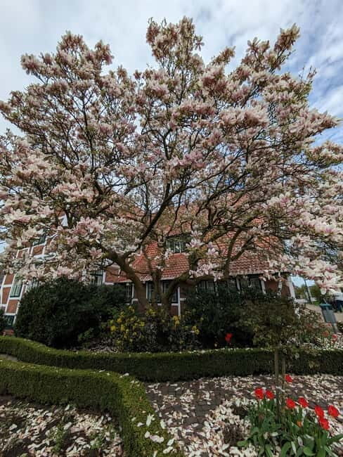 Hamburg Country Side - Altes Land - Good To Know