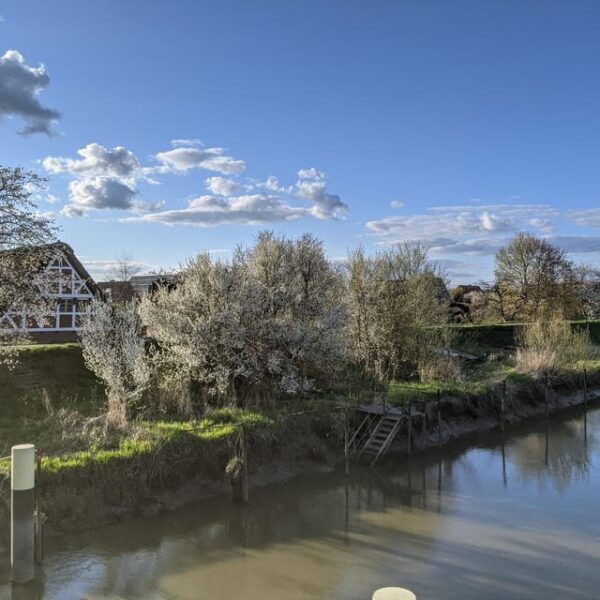 Hamburg Country Side - Old Land - Customer Feedback