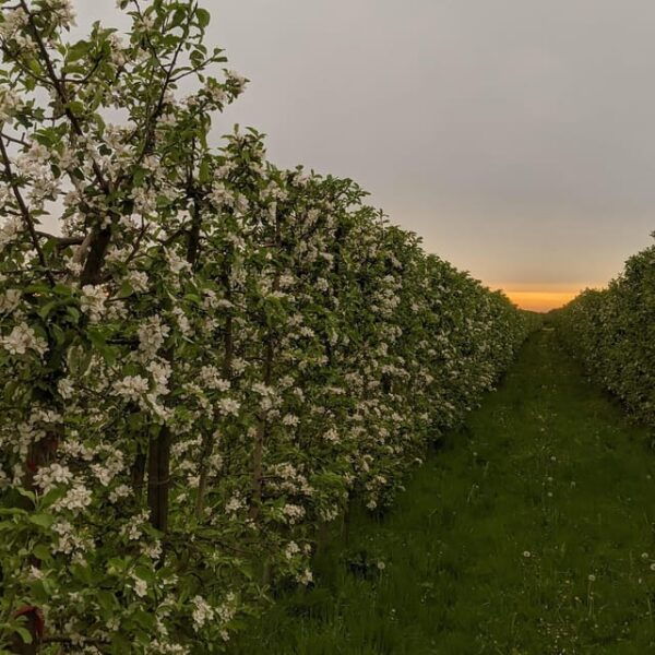 Hamburg Country Side - Old Land - Frequently Asked Questions