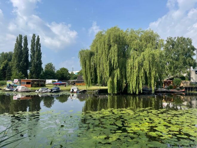 Hamburg E-bike Tour / Hakuna Tour - Experience Details