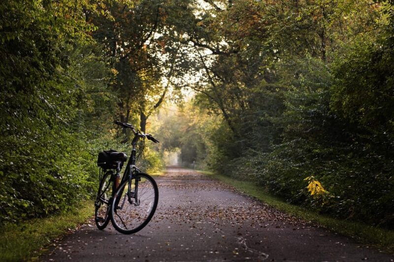 Hamburg: English Bike Tour - Around the Outer Alster Lake - Price and Value