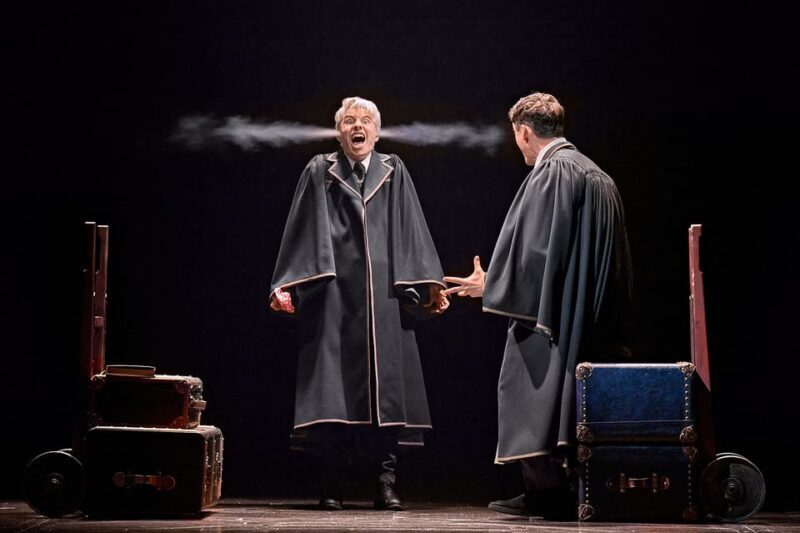 Hamburg: Harry Potter and the Cursed Child Theater - Practical Details and Cost-Value Analysis