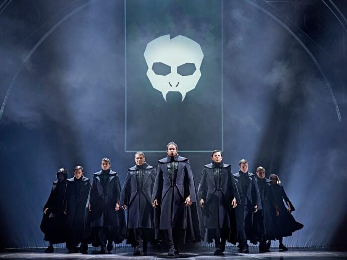 Hamburg: Harry Potter and the Cursed Child Theater - Who Is This Experience Best For?