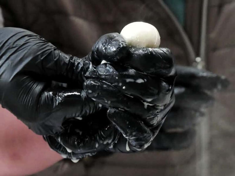 Hamburg: Mozzarella course with accompanying wines - FAQ