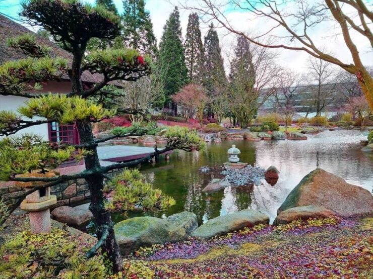 Hamburg: Plants and Flowers Park Smartphone Game Quest - Experience Details