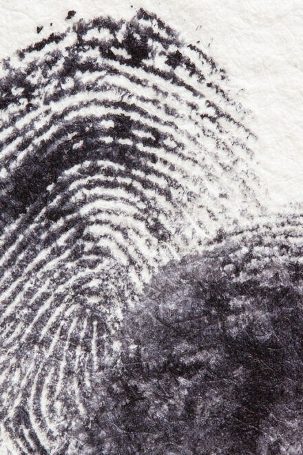 Hamburg: St. Pauli Crime Mystery Tour - Whats Included