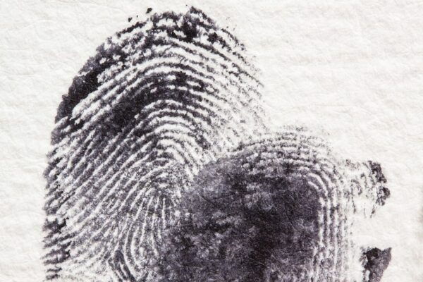 Hamburg: St. Pauli Crime Mystery Tour - Frequently Asked Questions