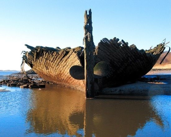 Hamburg: Tour of Blankenese on the Banks of the Elbe - Enjoying the Beach and Elbe River Views