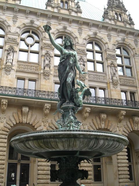 Hamburg: Town Hall, Speicherstadt, and HafenCity Tour - Language Options