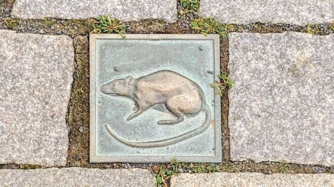 Hamelin: Old Town Exploration Self-guided Walking Tour - Stories and Facts About Hamelin