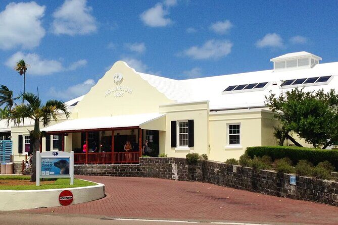 Hamilton and St George Sightseeing Tours - An In-Depth Look at the Tour Experience