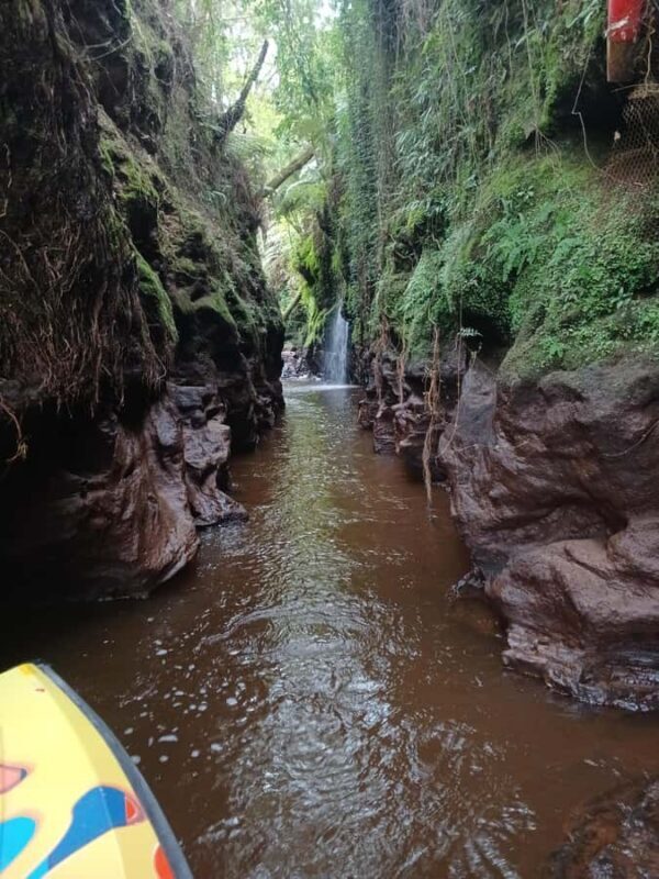 Hamilton Gardens: 30 min Ecological River Cruise - Good To Know