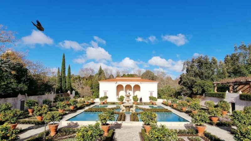 Hamilton Gardens: 30 min Ecological River Cruise - An Honest Breakdown of the Hamilton Gardens 30-Minute Ecological River Cruise