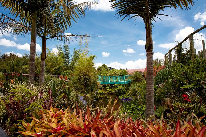 Hamilton Gardens Highlights Tour - Guided Tours