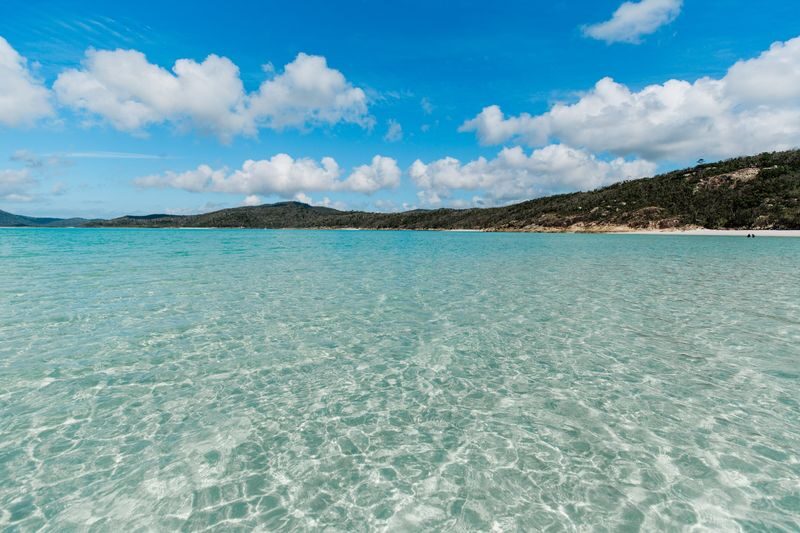 Hamilton Island Hill Inlet Half-Day Guided Cruise - Weather and booking details worth checking