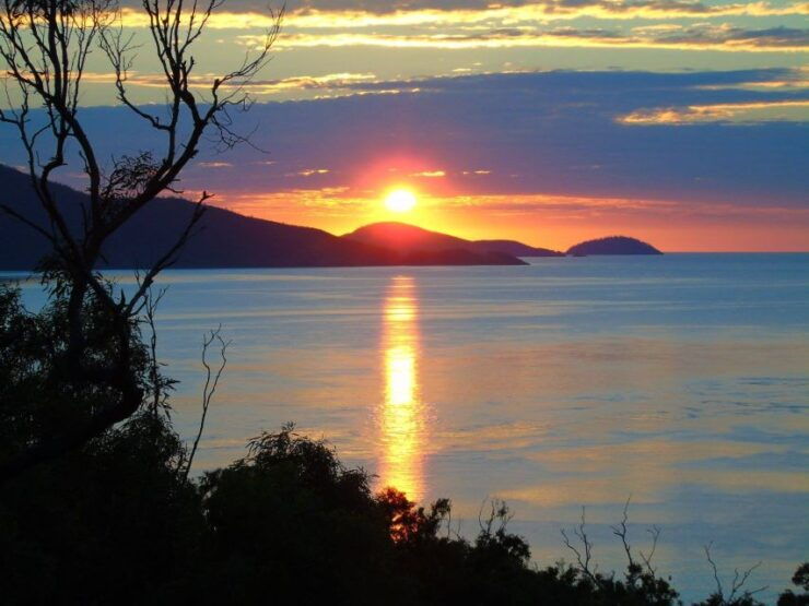 Hamilton Island: Whitsundays Sunset BBQ Dinner Cruise - Activity Details