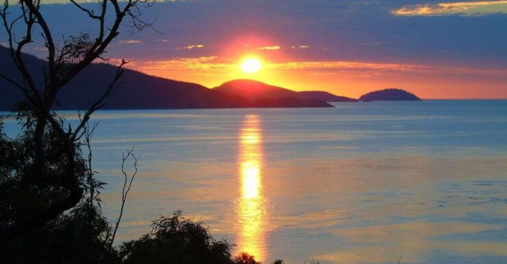 Hamilton Island: Whitsundays Sunset BBQ Dinner Cruise - Experience Highlights
