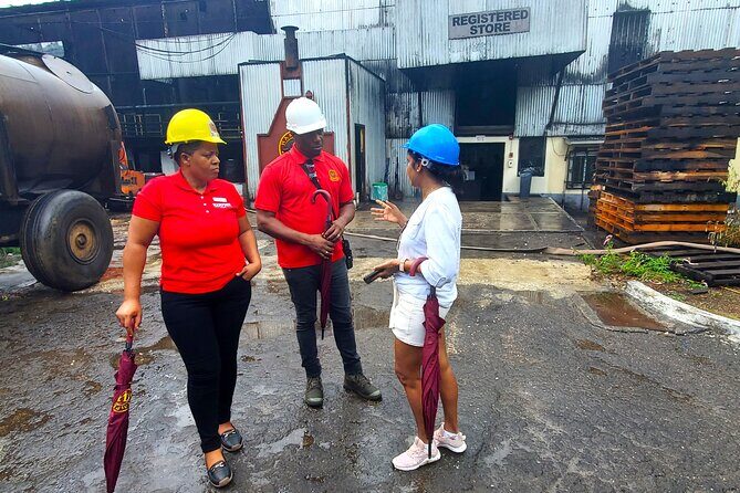 Hampden Estate Rum Tour and Lunch from Montego Bay - Final Thoughts: Who Should Consider This Tour?