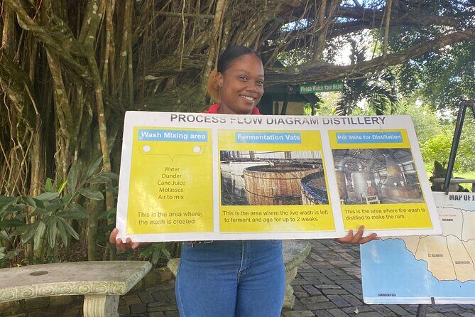 Hampden Rum Factory Tour With French Guide - An In-Depth Look at the Hampden Rum Factory Tour