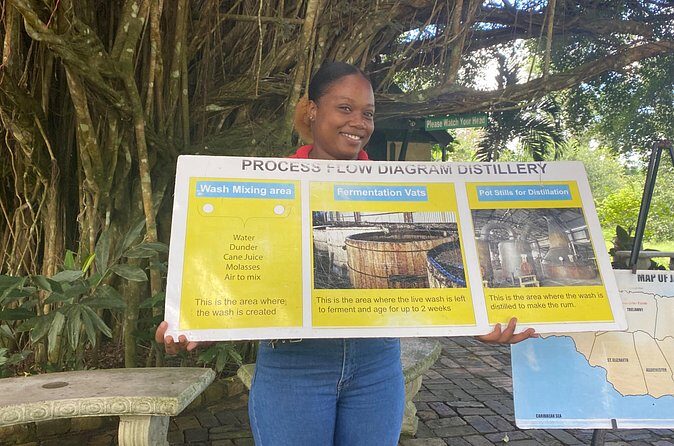 Hampden Rum Factory Tour With French Guide - Who Will Love This Tour?